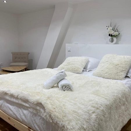 Appartamento Le Duplex - Gare / Tram / Netflix Fontaine  Esterno foto